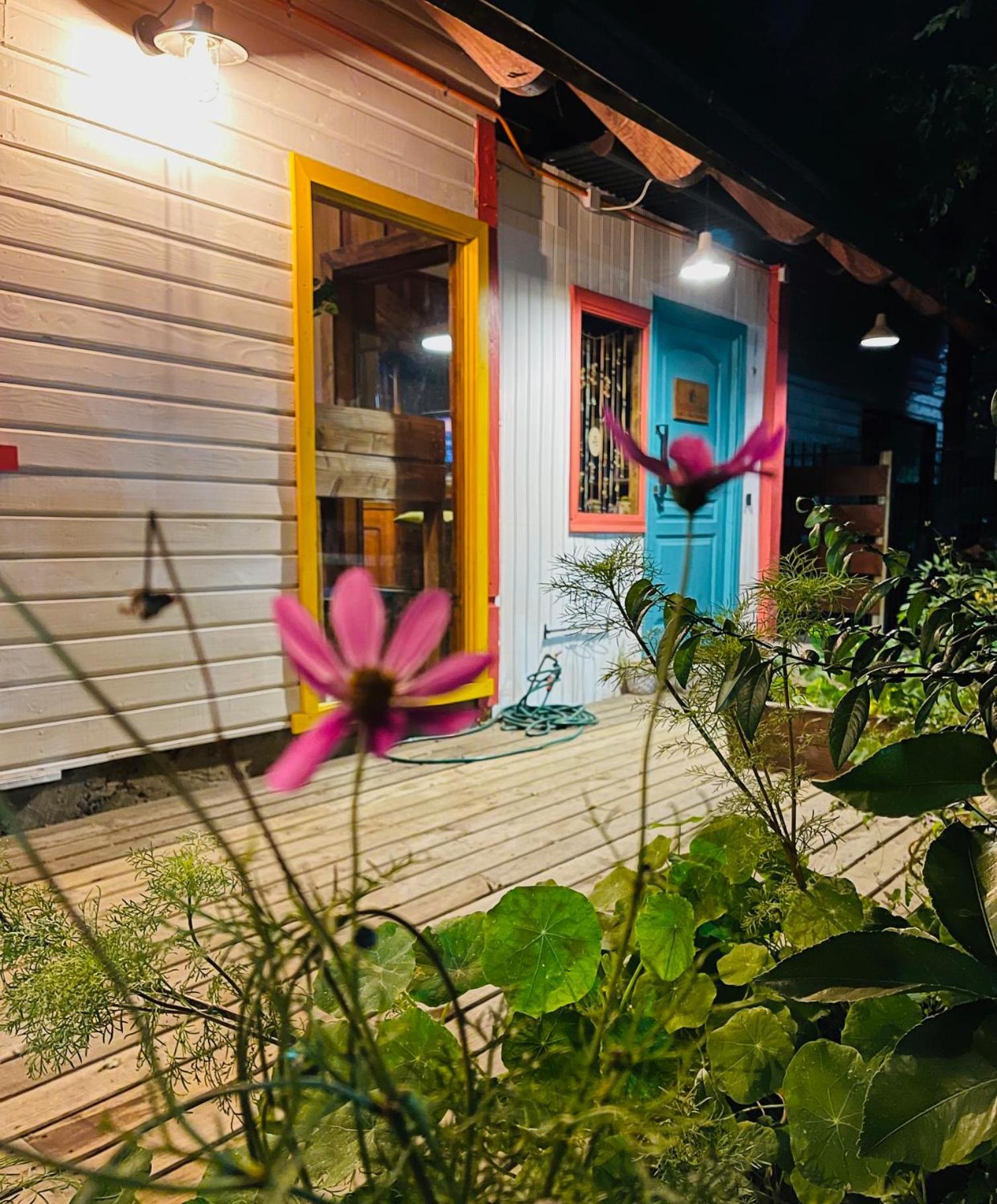 La Araucaria Hosteria Boutique - Ex Lounge Brasil Pucon Luaran gambar