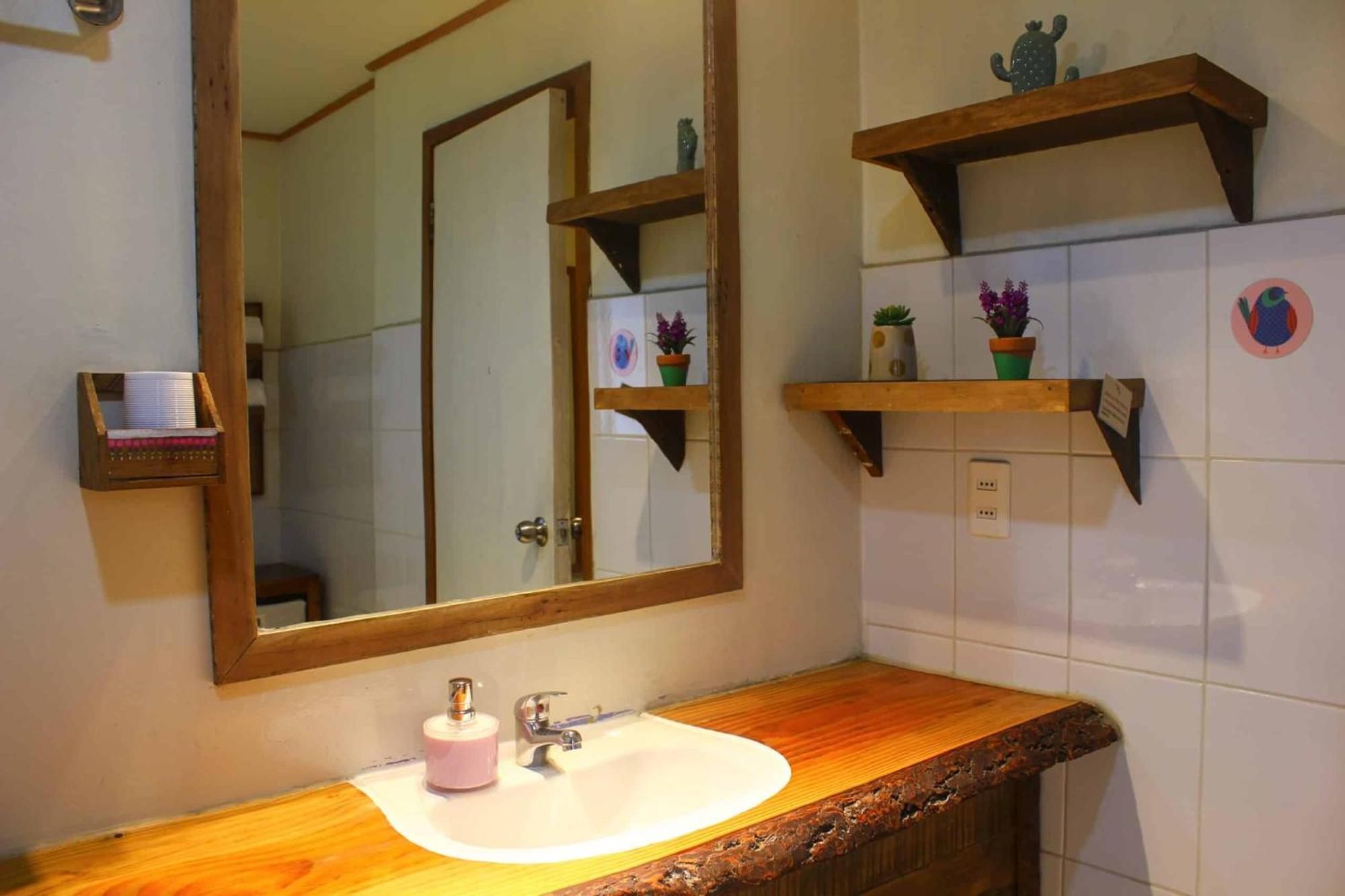 La Araucaria Hosteria Boutique - Ex Lounge Brasil Pucon Luaran gambar